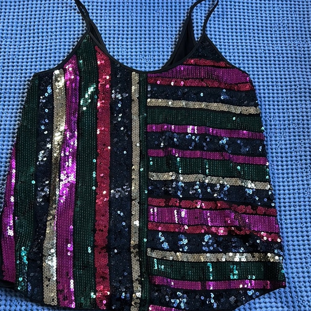 Express Multicolor Sequin Camisole